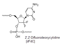 Bio-Synthesis Inc. Oligo Structure